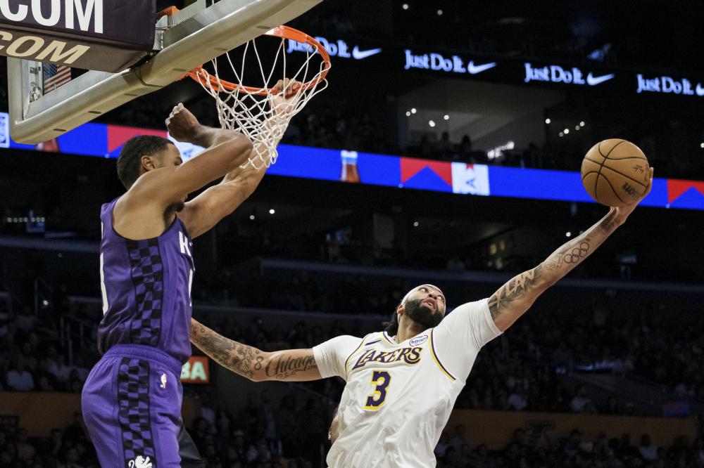 都应该对自 都应该对自